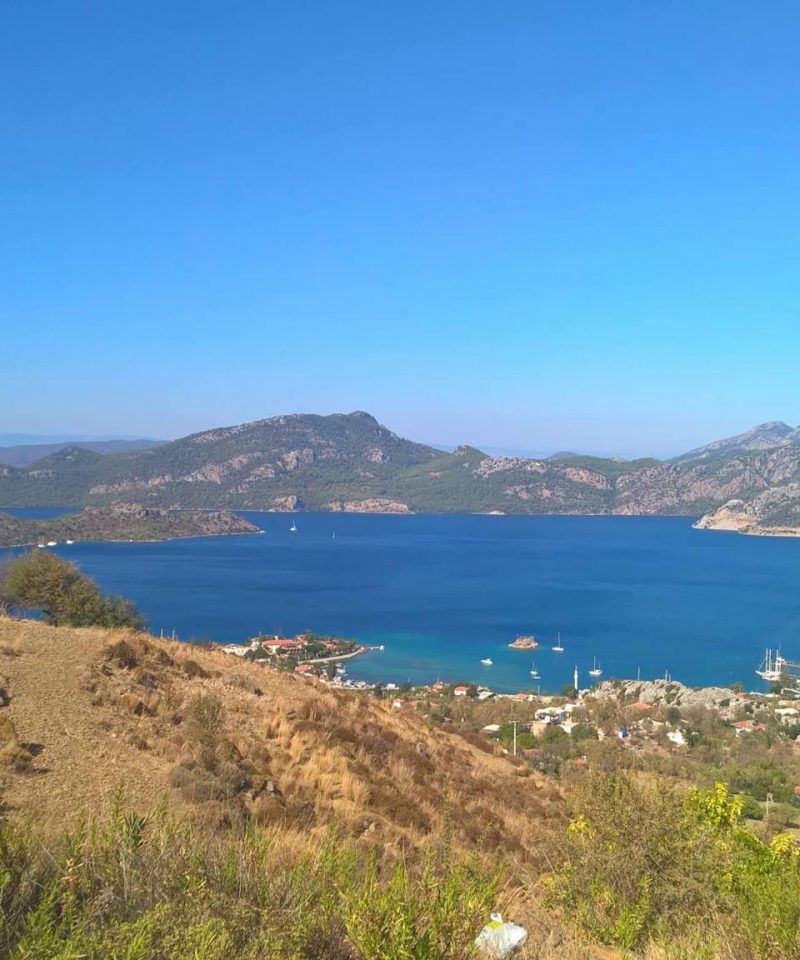 Selimiye